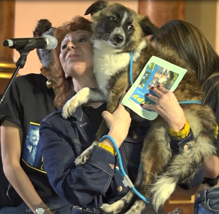 A puppy is held aloft by a West End star