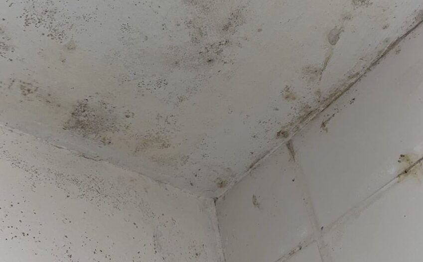 A mouldy white ceiling