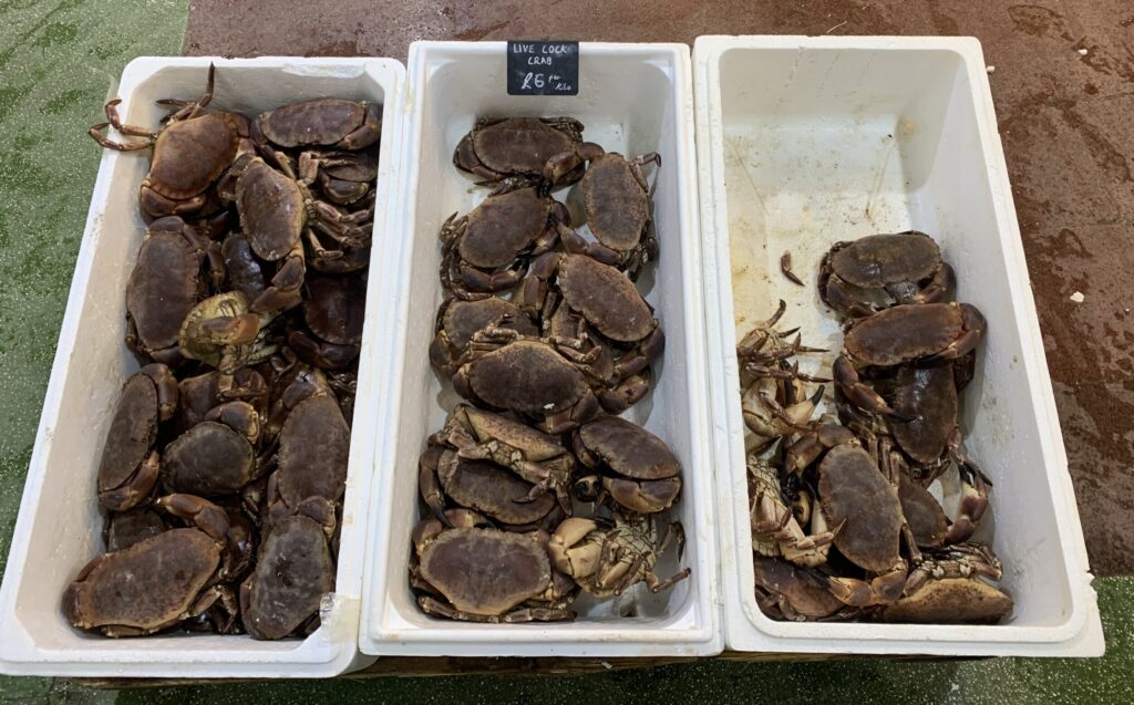 Billingsgate Market, crabs, white bins, price label, wet floor, clay coloured floor, green foor, live crabs