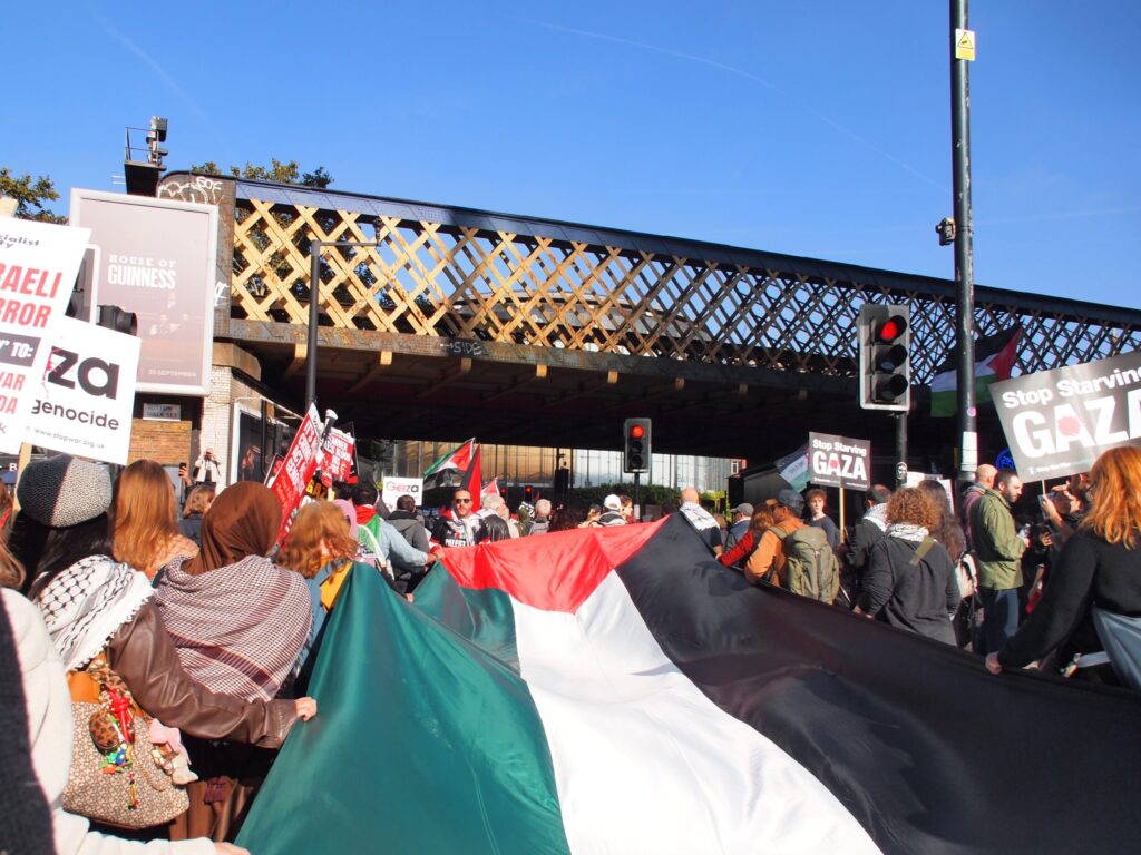 Protestors holding Palestinian flag at Protest