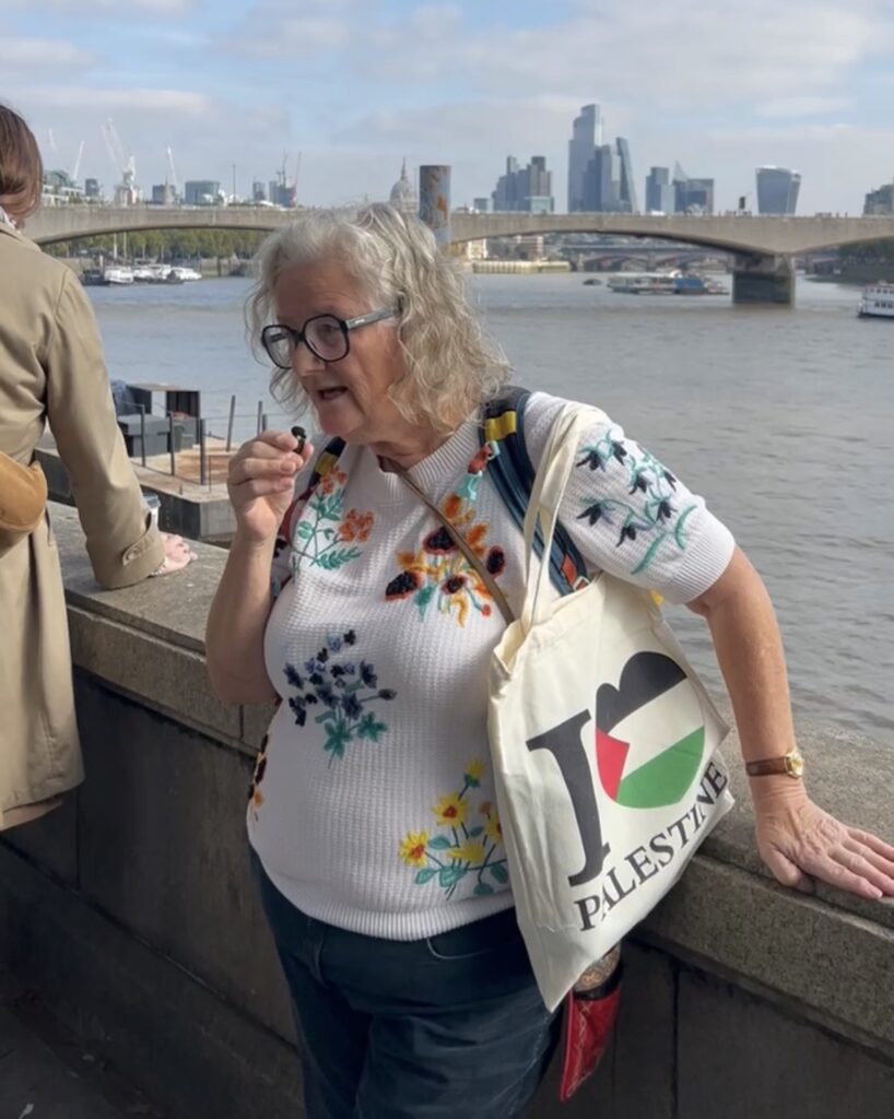 Jane spoke to City News at the Palestine protest